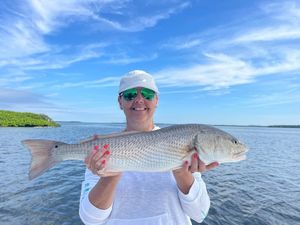 Large Redfish Fort Myers 2022